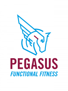 Pegasus-FF-primair-logo-RGB